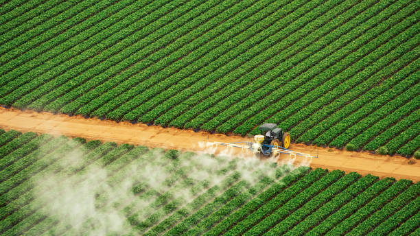Best Termite Control Services  in Great Bend, KS